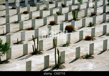 EL ALAMEIN WAR CEMETERY EGYPT. Maintained by the Commonwealth War Graves Commission. Stock Photo