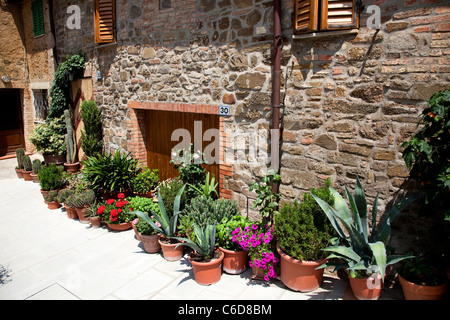 Private house in Montalcino, Siena, Tuscany, Italy, Europe Stock Photo