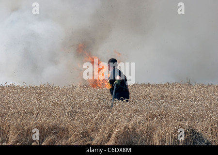 Firefighters approaches a fire raging in a cornfield Stock Photo