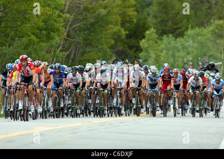 Professional cyclists race up Independence Pass in Stage Two of the USA Pro Cycling Challenge, Twin Lakes, Colorado, USA Stock Photo