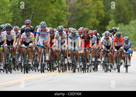 Professional cyclists race up Independence Pass in Stage Two of the USA Pro Cycling Challenge, Twin Lakes, Colorado, USA Stock Photo