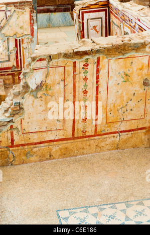 Turkey, Ephesus, Private house murals Stock Photo