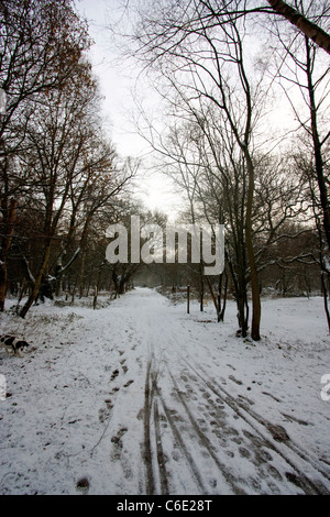 a snowy path winding its way through epping forest Stock Photo