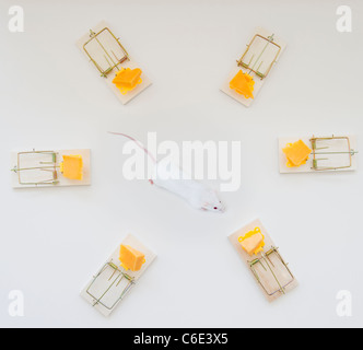 Studio shot of mouse surrounded by mouse traps Stock Photo