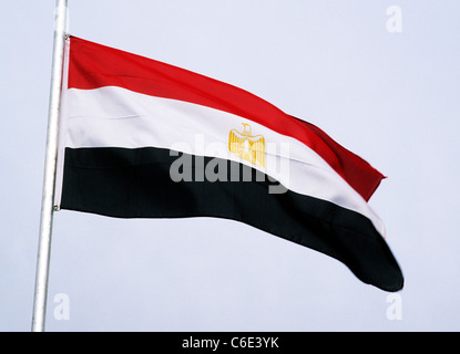 Egypt Flag National flags Egyptian flying from flagpole Stock Photo