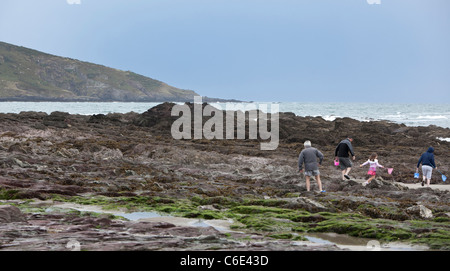 A family set off on an expedition for pond dipping, Wembury Beach, Devon, England, UK. Stock Photo