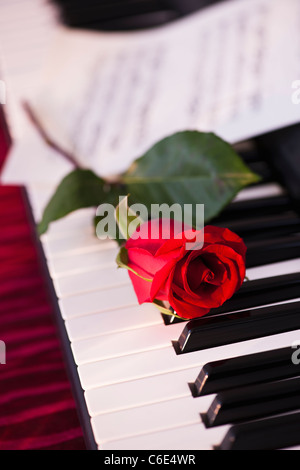 Close up of red rose lying on piano keys Stock Photo