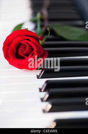 Close up of red rose lying on piano keys Stock Photo