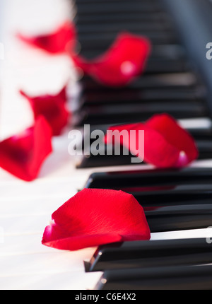 Close up of red rose petals lying on piano keys Stock Photo