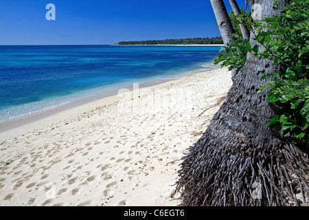 Beautiful sun drenched white sand beach in the Philippines. Stock Photo