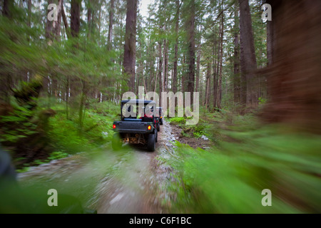 Ocean raft and 4x4 Adventure tour, Kruzof Island, Sitka, Alaska Stock Photo