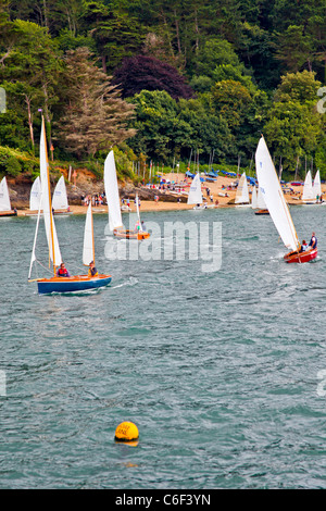 Salcombe yawl dinghies racing in the Salcombe Estuary, Devon, England, UK Stock Photo