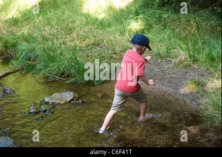 Children exploring in forest - boys playing outdoors Stock Photo