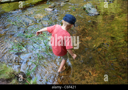 Children exploring in forest - boys playing outdoors Stock Photo