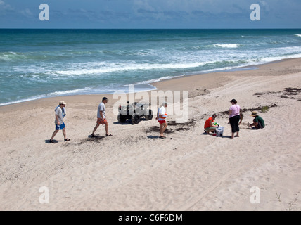 Counting unhatched Loggerhead turtle eggs from a nest at Ponce de Leon Landing in Florida Stock Photo