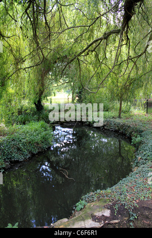 Ewell Court Park, Ewell, Epsom, Surrey, England UK Stock Photo