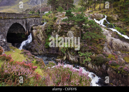 Waterfall by Pont Pen-y-benglog A5 road bridge over Afon Ogwen river in Snowdonia National Park Ogwen Conwy North Wales UK. Stock Photo
