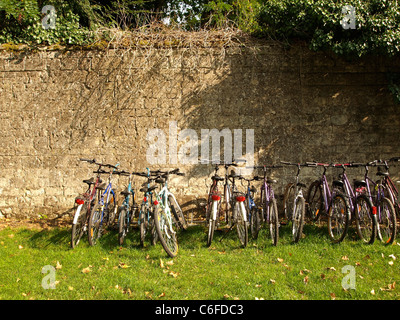Line of rental bicycles parked at an old stone wall in Roiffé, Loire valley, France Stock Photo