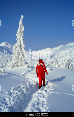 Hiking in snow covered mountain. Triglav National park, Slovenia. Stock Photo