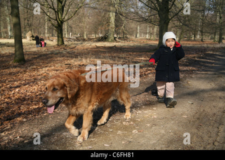 Dyrehaven park near København (Copenhagen) in Denmark) Stock Photo