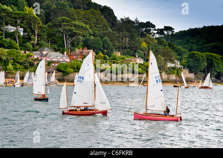 Salcombe yawl dinghies racing in the Salcombe Estuary, Devon, England, UK Stock Photo