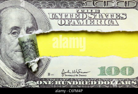 Torn dollars banknote with space for your own text Stock Photo