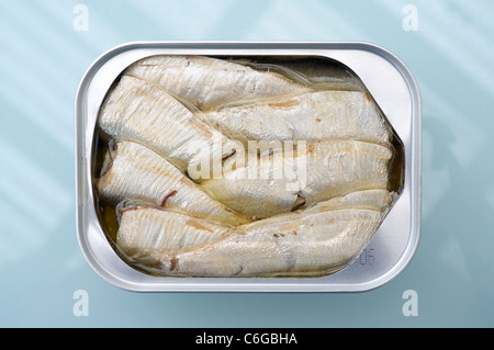 Sardines in a tin with olive oil