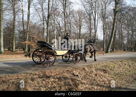 Dyrehaven park near København (Copenhagen) in Denmark) Stock Photo