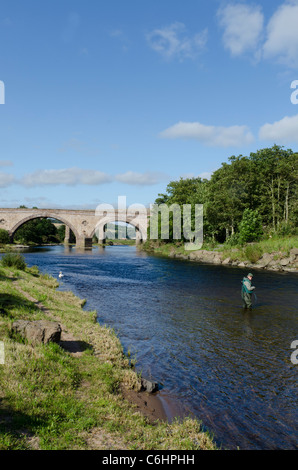 Railway viaduct and road bridge across North River Esk at St Cyrus ...