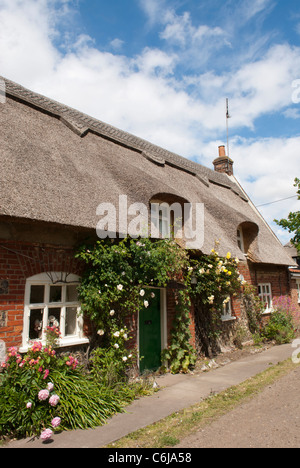 A thatched country cottage, South Walsham, Norfolk, England. Stock Photo