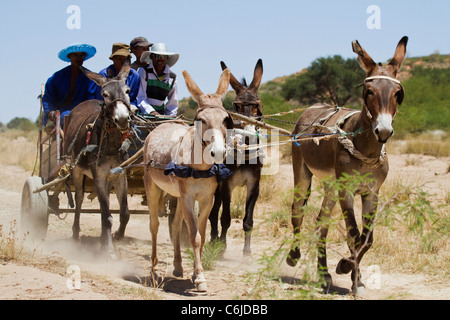 Donkey cart on a dirt track in the Kalahari Stock Photo
