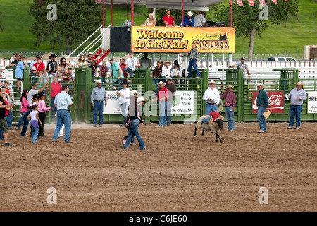 Video of a young boy riding a lamb, mutton bustin, during the county fair. Annual celebration in Mount Pleasant, Utah. Stock Photo