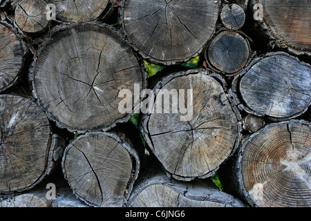 Close up of a pile of tree trunks Stock Photo