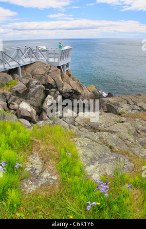 Liberty Point, Roosevelt Campobello International Park, Welshpool, Campobello Island, New Brunswick, Canada Stock Photo