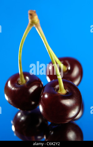 Three cherries close-up Isolated on blue background Stock Photo
