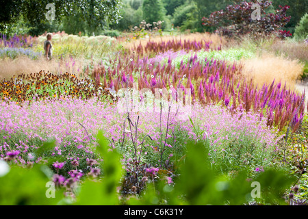 The Millenium Garden at Pensthorpe nature reserve, Norfolk, UK, was designed by Piet Oudolf, Stock Photo