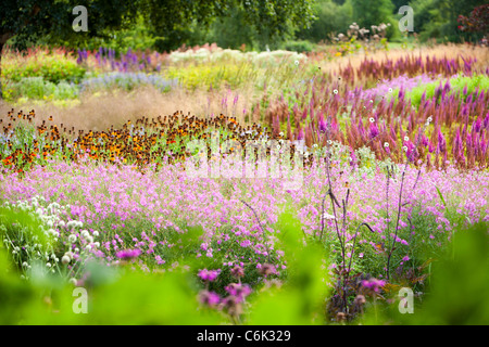 The Millenium Garden at Pensthorpe nature reserve, Norfolk, UK, was designed by Piet Oudolf, Stock Photo