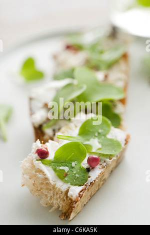 Toast with goat cheese and radish sprouts Stock Photo