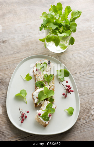 Toast with goat cheese and radish sprouts Stock Photo