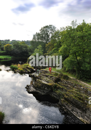 The River (or Afon) Teifi from Cenarth Bridge forming the border between Carmarthenshire and Ceredigion in West Wales UK Stock Photo