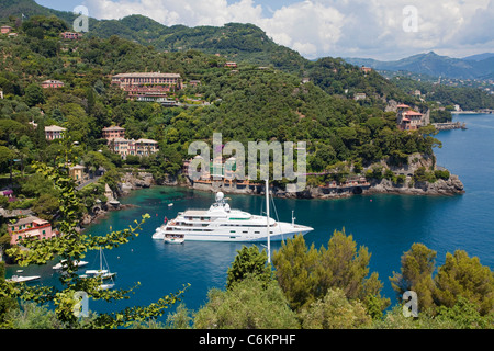 Luxury vessels at the harbour of Portofino, Liguria di Levante, Italy, Mediterranean sea, Europe Stock Photo