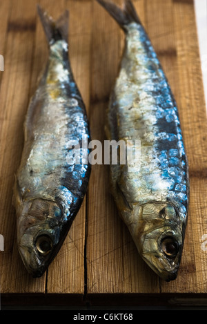 Fresh raw sardines on cutting board Stock Photo
