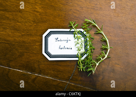 Summer savory Stock Photo