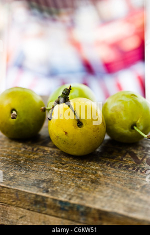 Greengage plums Stock Photo