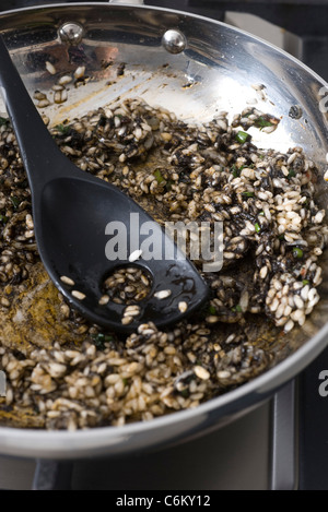 Making squid ink risotto Stock Photo