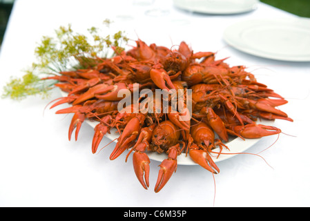 Boiled crawfish on dinner table Stock Photo