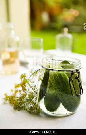 Fresh dill pickles Stock Photo