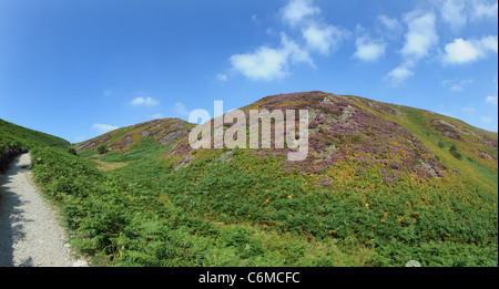 The Long Mynd Church Stretton Shropshire Uk Stock Photo