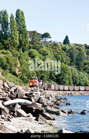 Burlington Northern and Santa Fe BNSF railway freight train running along shore of Puget Sound enters Richmond Beach Washington Stock Photo