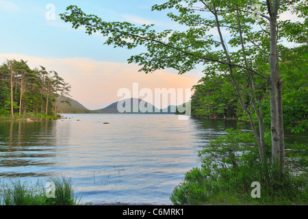 Dusk on Eagle Lake Loop Carriage Road, Eagle Lake, Acadia National Park, Maine, USA Stock Photo